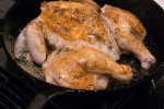 Spatchcock roasted chicken after initial searing