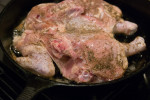 Spatchcock roasted chicken - initial sear breast side down